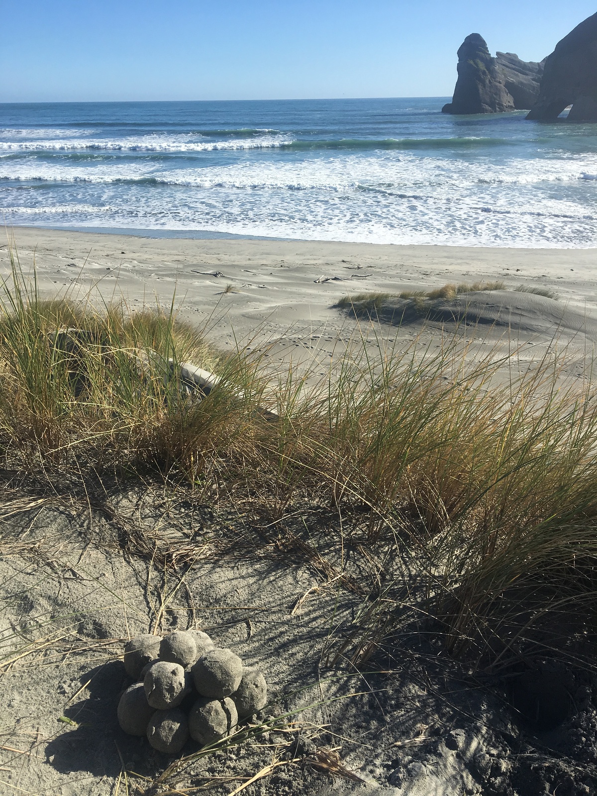 Rare sighting., Wharariki Beach