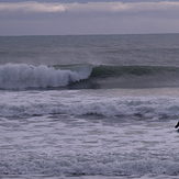 Fossil Point left-hander, Farewell Spit