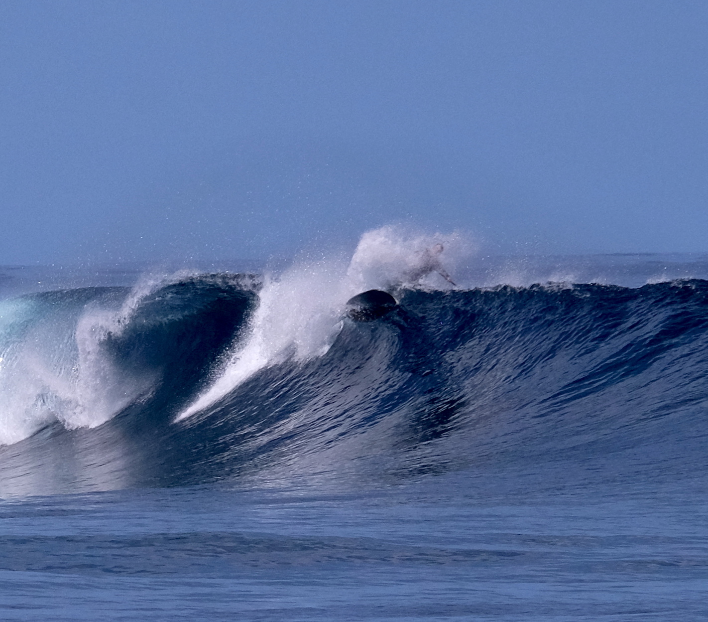 Leash snap moment, Maria Reef left