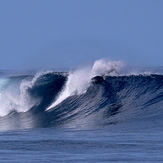 Leash snap moment, Maria Reef left