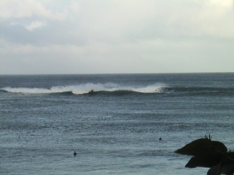 Eaglehawk Neck, Eaglehawk Neck Reef