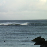 Eaglehawk Neck, Eaglehawk Neck Reef