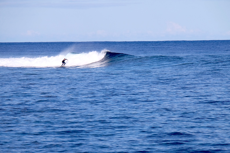 Small waves, Skateparks