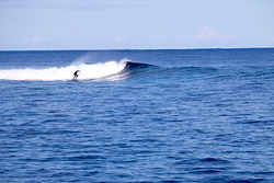 Small waves, Skateparks photo