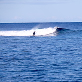 Small waves, Skateparks