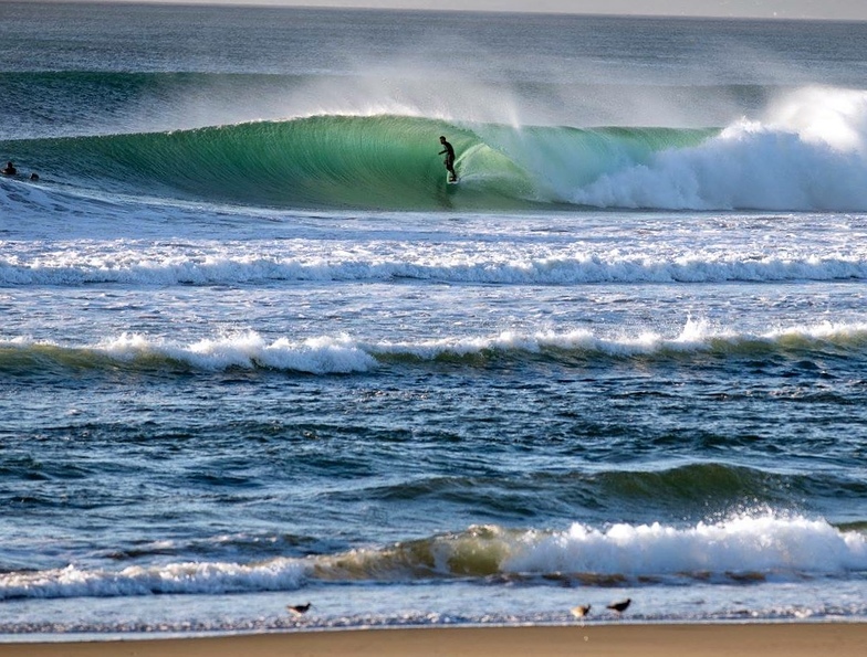 Luke Braddock, Moss Landing