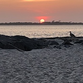 Island Beach state park