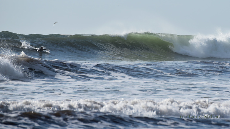 Big waves at the beach today, Good Harbor Beach