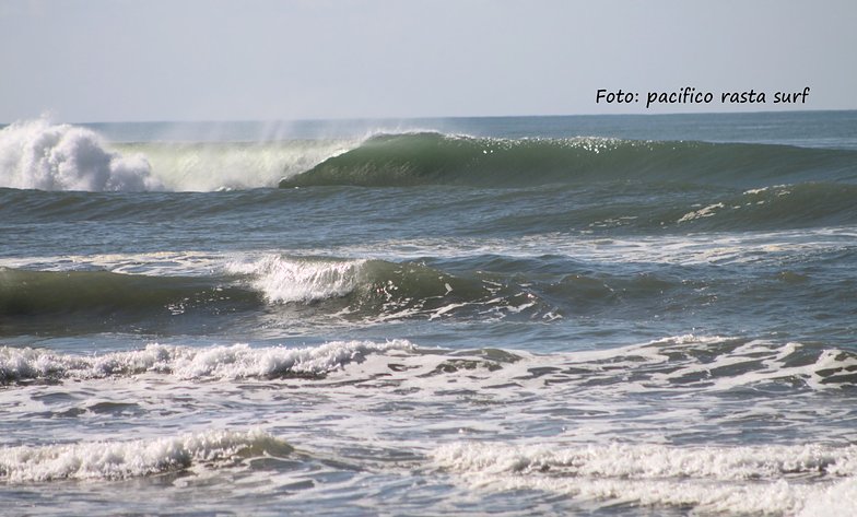 Rasta surf report hotsell