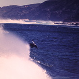 dolphins surfing at moses, Moses Rock