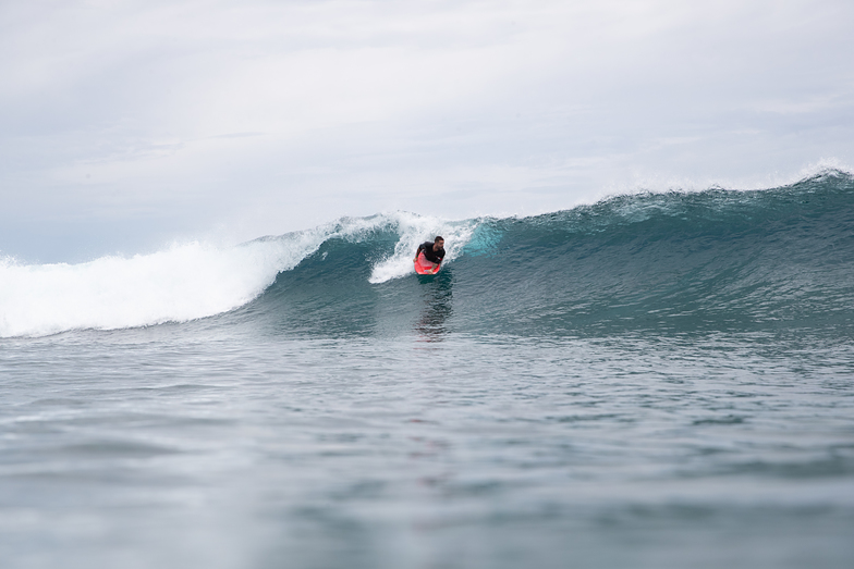 Bodyboarder, Lohi's