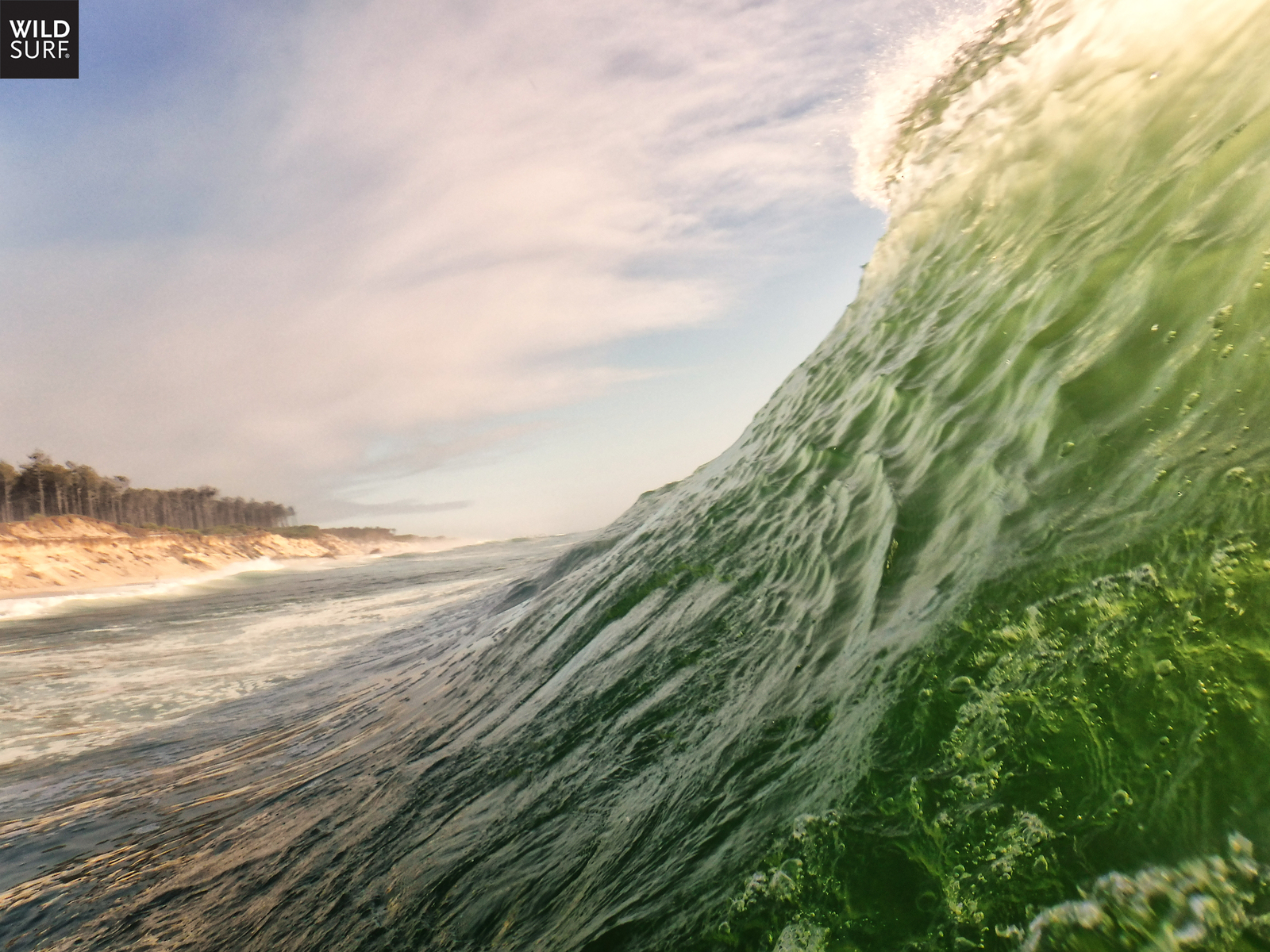 TAKE A RIDE ON THE WILD SIDE . ., Maceda