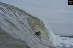 TAKE A RIDE ON THE WILD SIDE ., Esmoriz photo