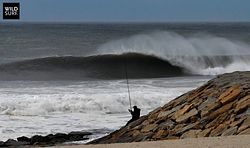 TAKE A RIDE ON THE WILD SIDE ., Cortegaca photo
