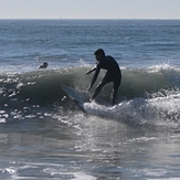 Surfer, Gillis