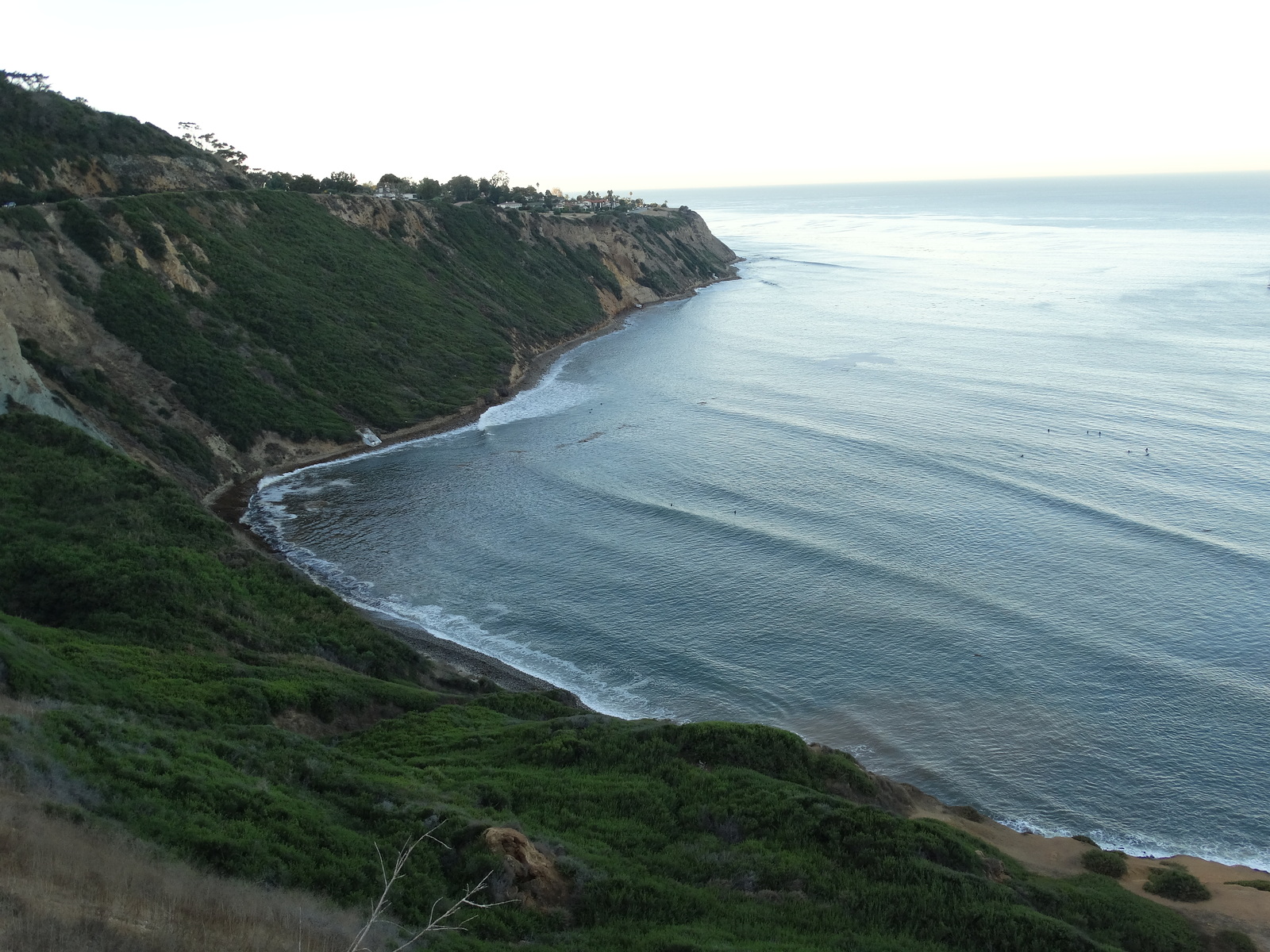 Palos Verdes California The Cove, Indicator