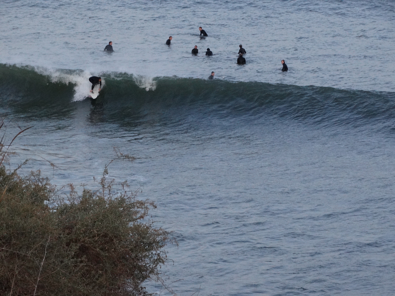 Early Line-Up, Haggerty's