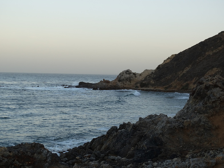 Palos Verdes Tide Chart