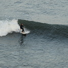 Haggerty's Surfing 