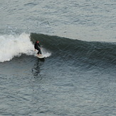 Haggerty's Surfing 