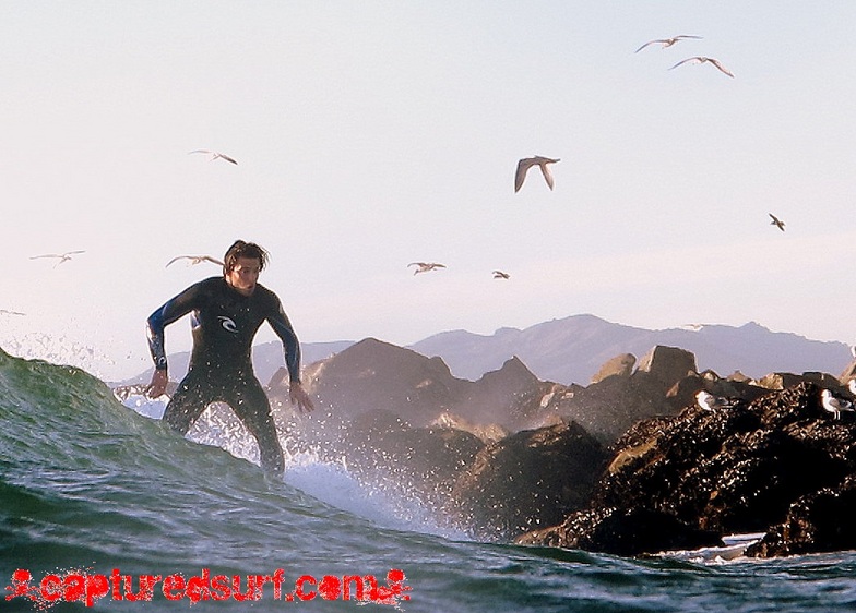 Venice Breakwater surf break