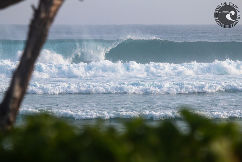 coco pipe left