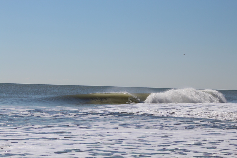 Clean w/ offshore winds, Pelican Watch