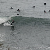 Haggerty's Surfer 