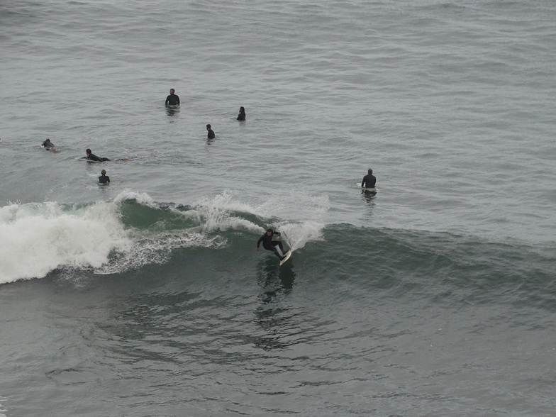 Haggerty's Surfing
