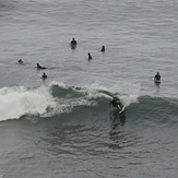 Haggerty's Surfing 