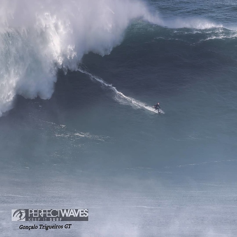 Gonçalo Forjaz Trigueiros photo, Nazare