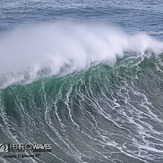 Gonçalo Forjaz Trigueiros photo, Nazare