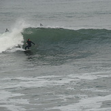 Haggerty's Surfing