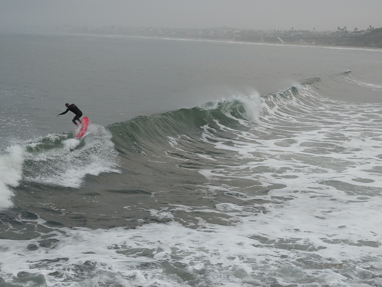 California Surfer, Haggerty's