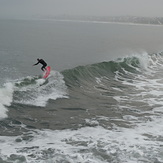 California Surfer, Haggerty's