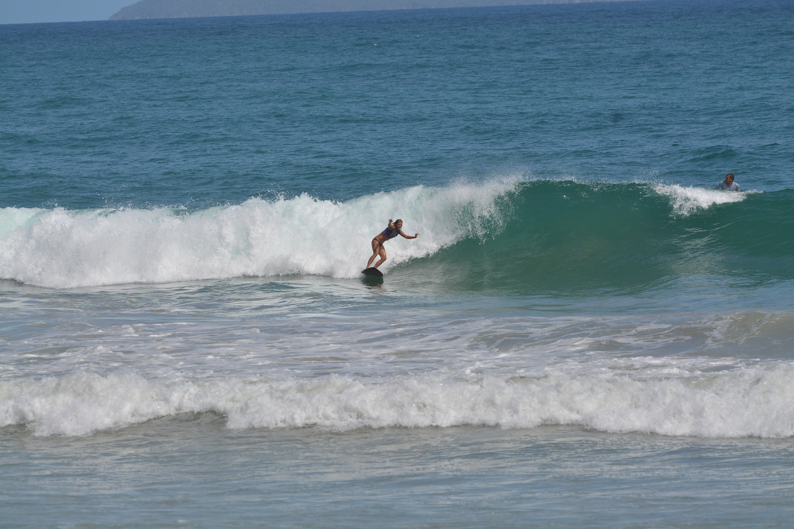 Silke (ceci), Guacuco