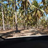 Tortugas, Playa Tortugas