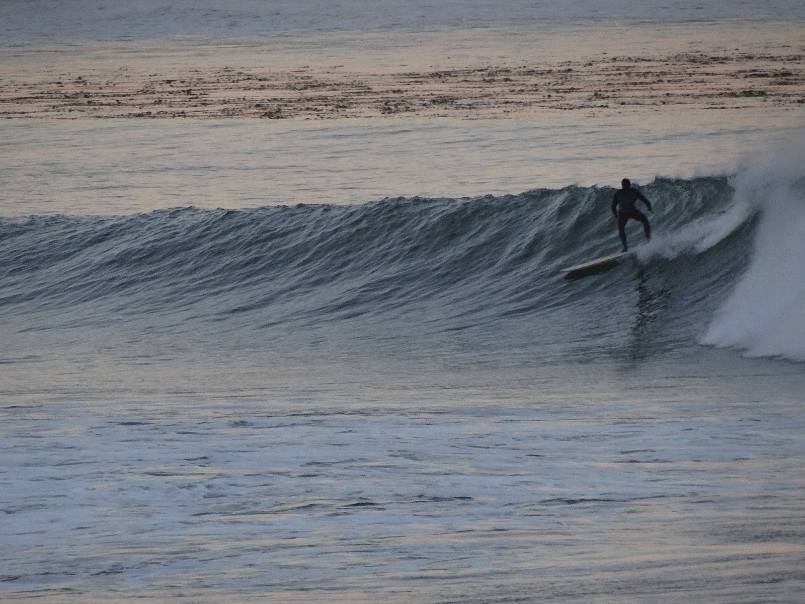 The Cove, Palos Verde - Bluff Cove