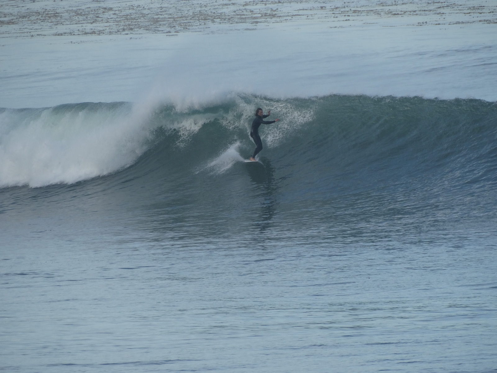 The Cove, Palos Verde - Bluff Cove