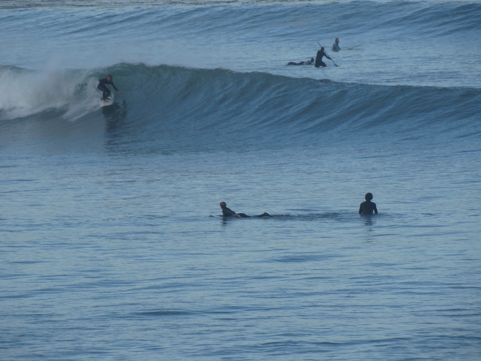 Shredder at The Cove, Palos Verde - Bluff Cove