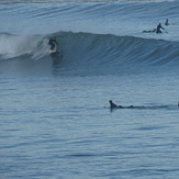 Shredder at The Cove, Palos Verde - Bluff Cove