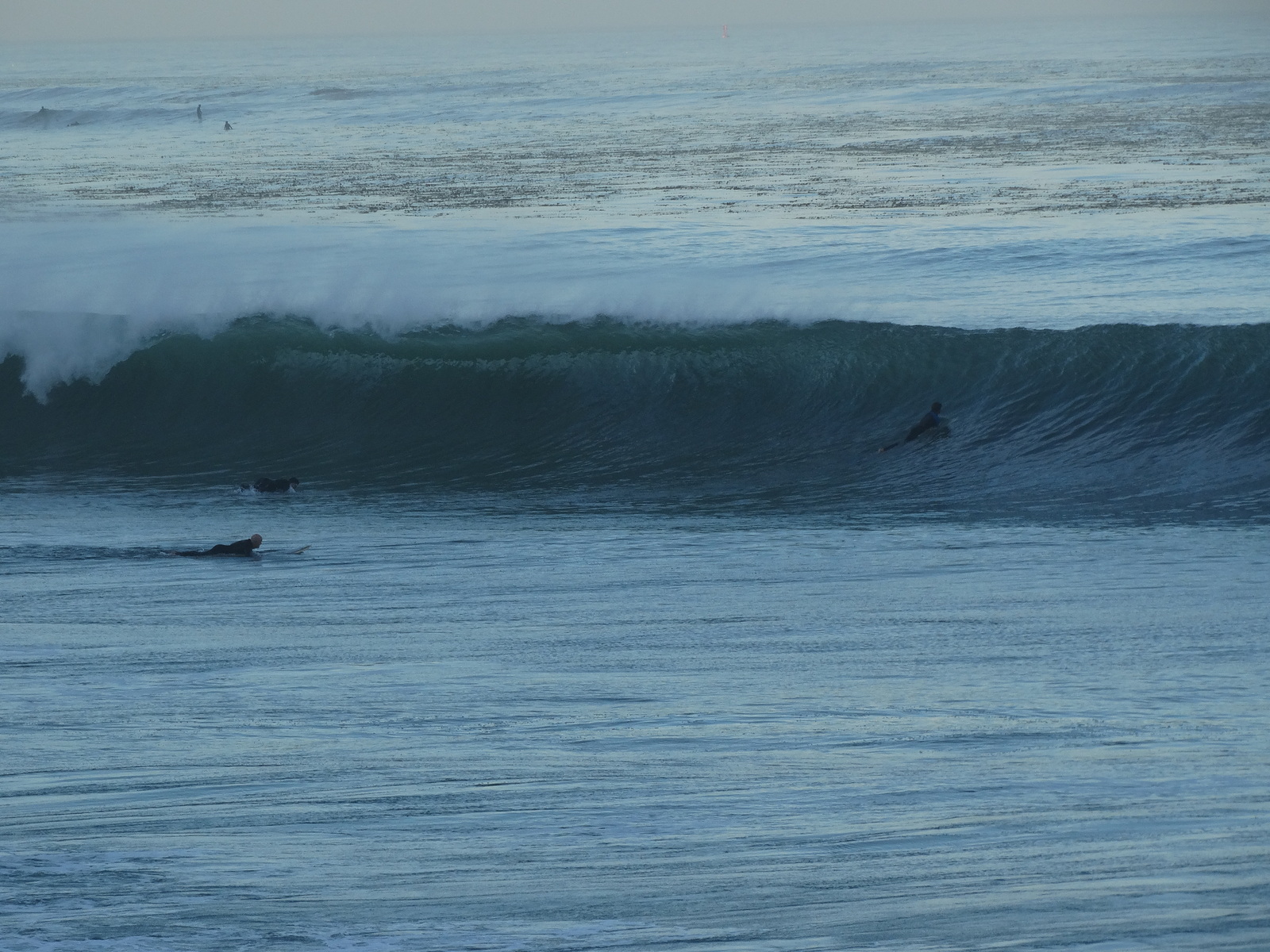 Pipe Like at Cove, Palos Verde - Bluff Cove