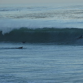 Pipe Like at Cove, Palos Verde - Bluff Cove