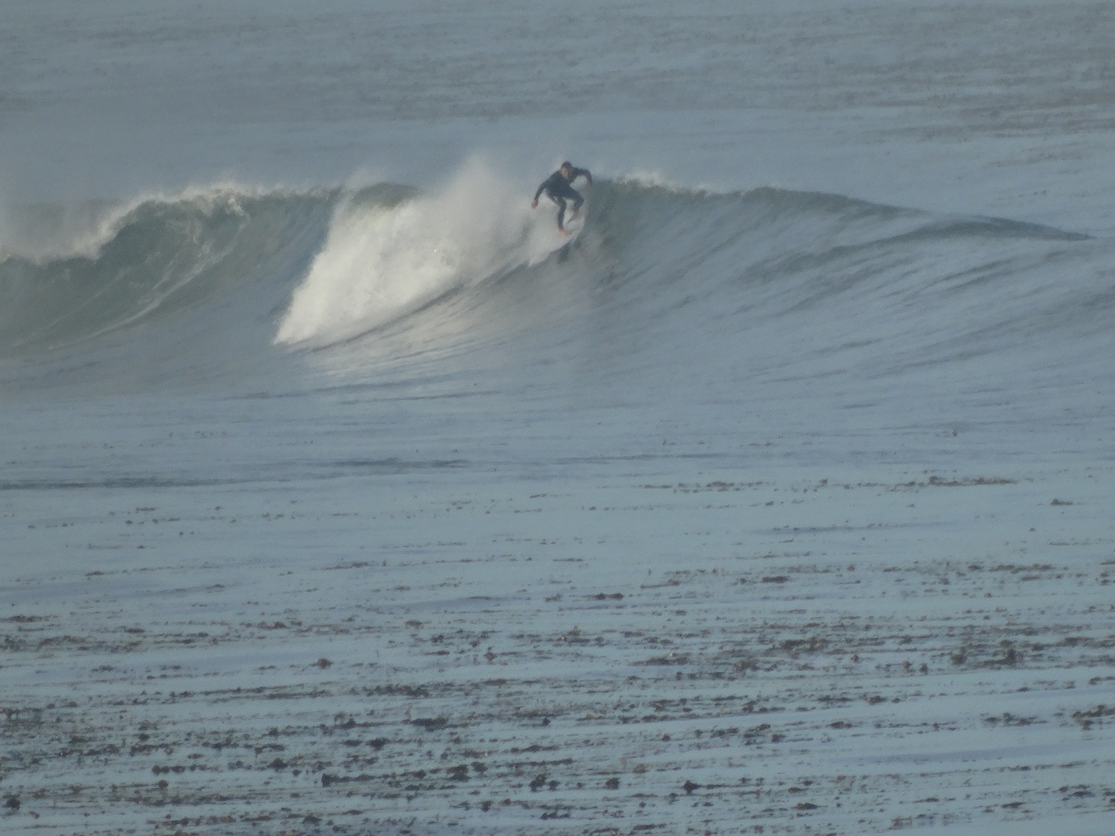 Indicator at The Cove 