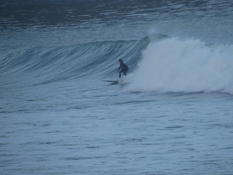 On it, Palos Verde - Bluff Cove