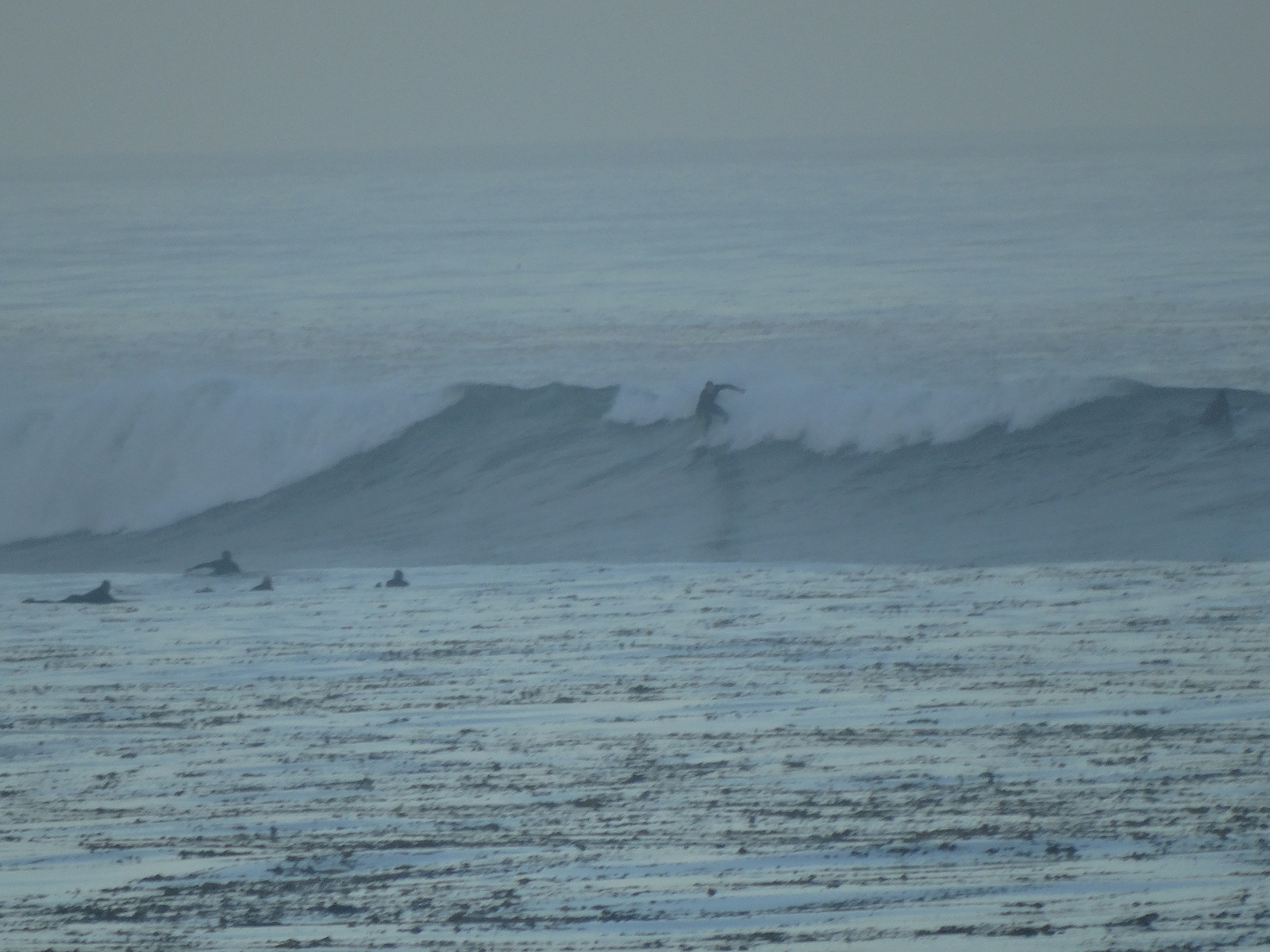 Indicator Winter Cove