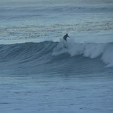 Top, Palos Verde - Bluff Cove