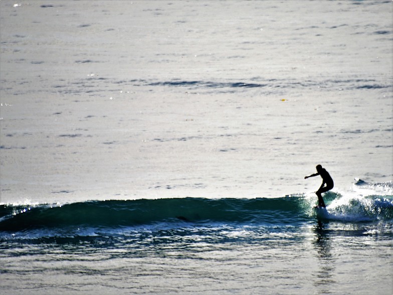 Nose ride on a small day at Campus point.