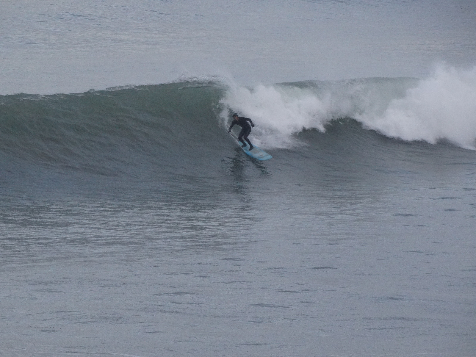 The Cove, Palos Verde - Bluff Cove