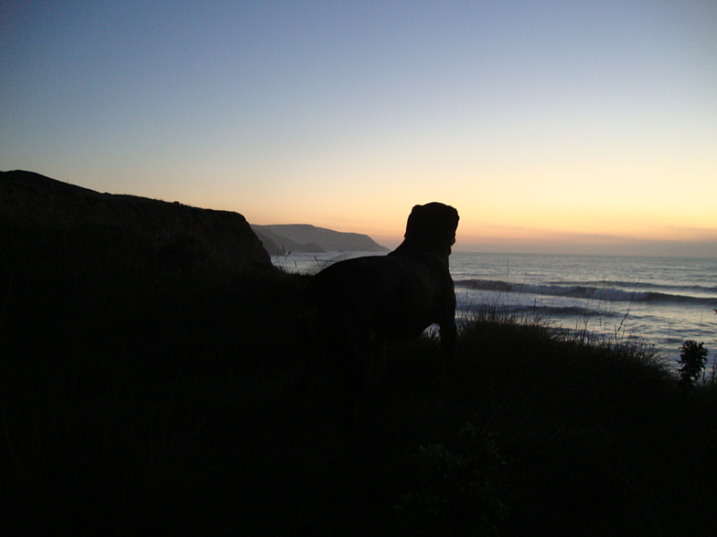 WIDEMOUTH, Widemouth Bay